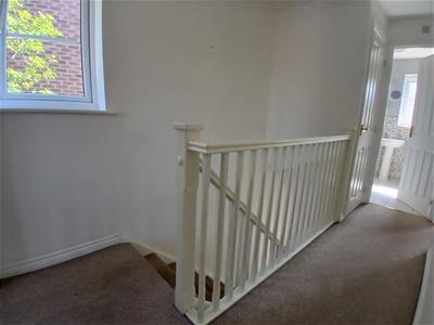 Picture 14